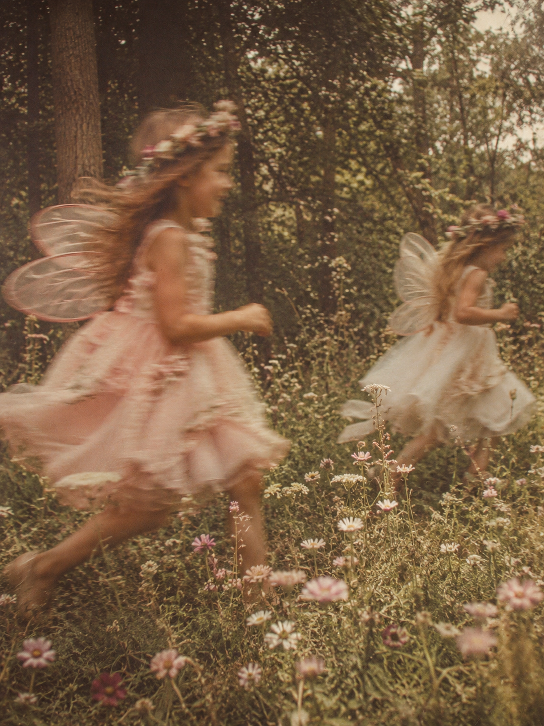 Enchanted Collection